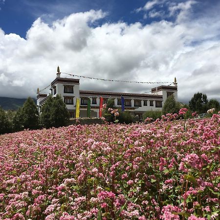 Royal Mustang Resort Nambo Bagian luar foto