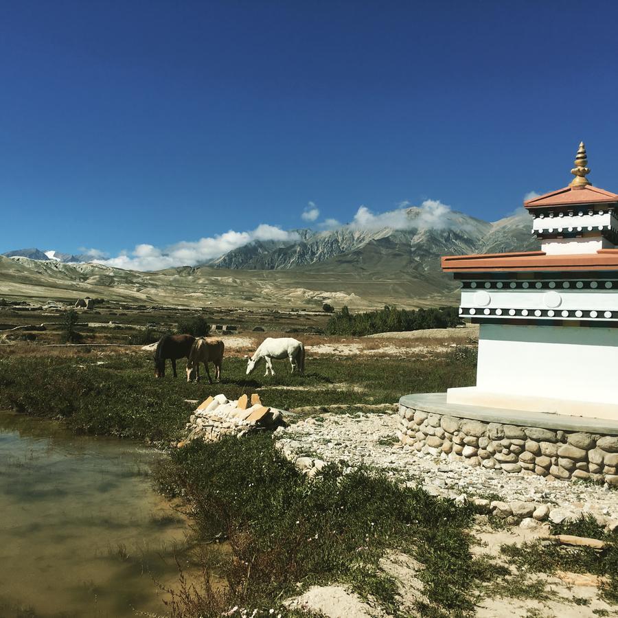 Royal Mustang Resort Nambo Bagian luar foto