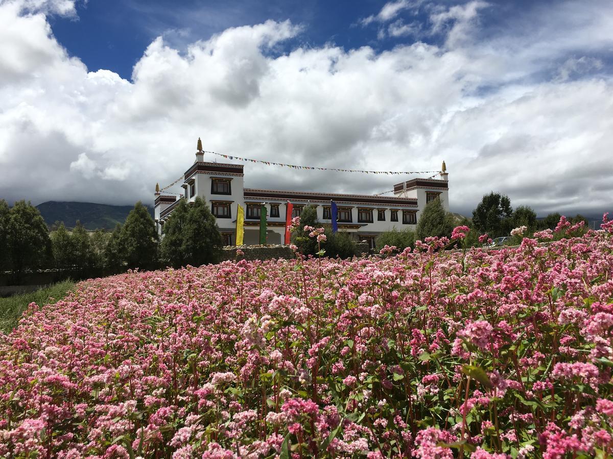 Royal Mustang Resort Nambo Bagian luar foto